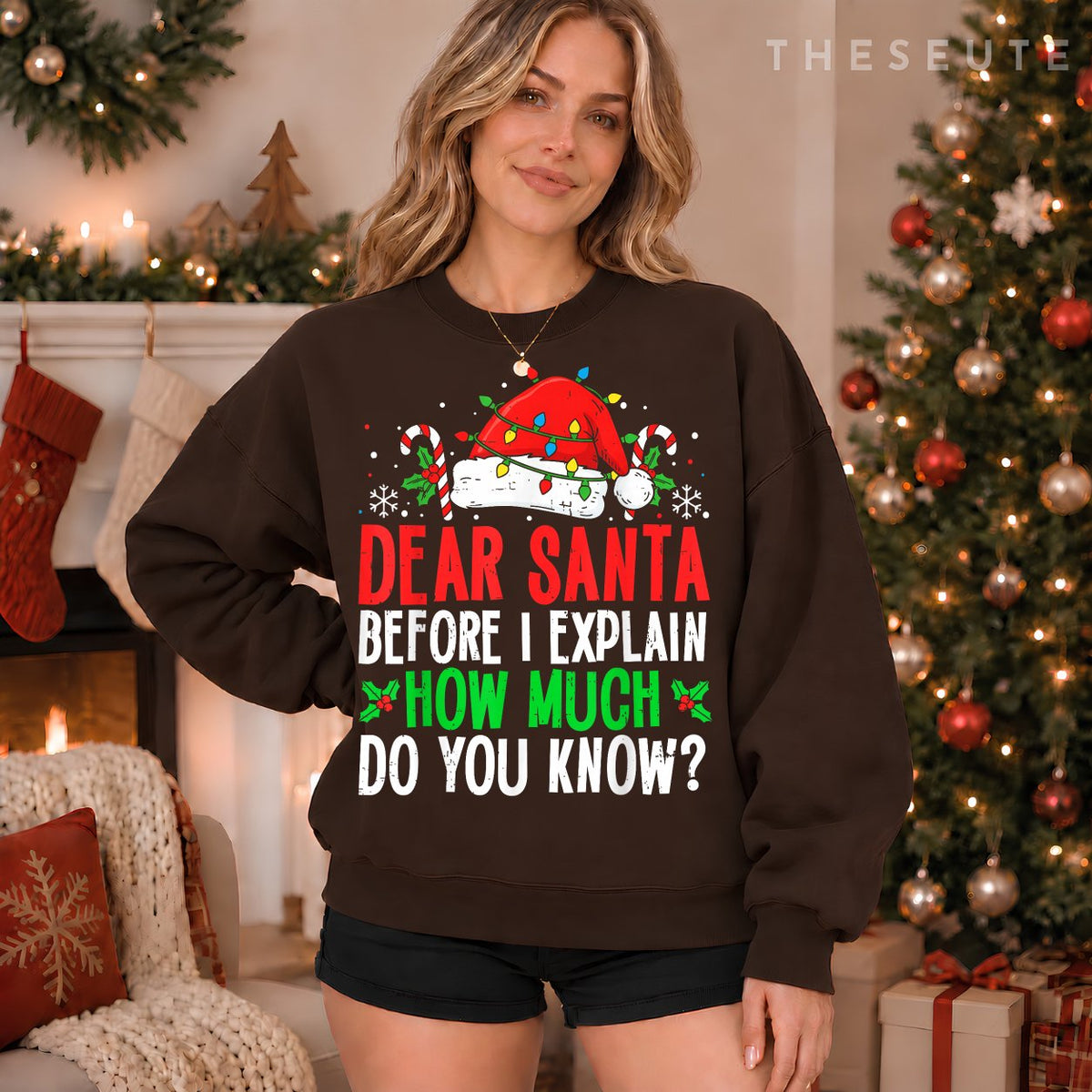 Funny Christmas Kids Adults Dear Santa I Can Explain Sweatshirt