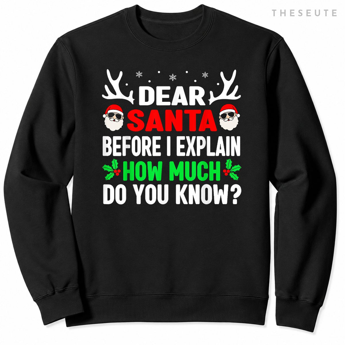 Funny Christmas Shirts Kids Adults Dear Santa I Can Explain Sweatshirt