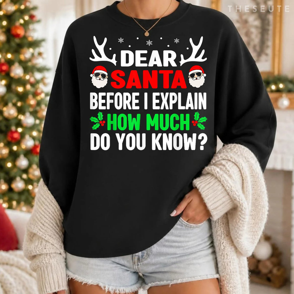 Funny Christmas Shirts Kids Adults Dear Santa I Can Explain Sweatshirt
