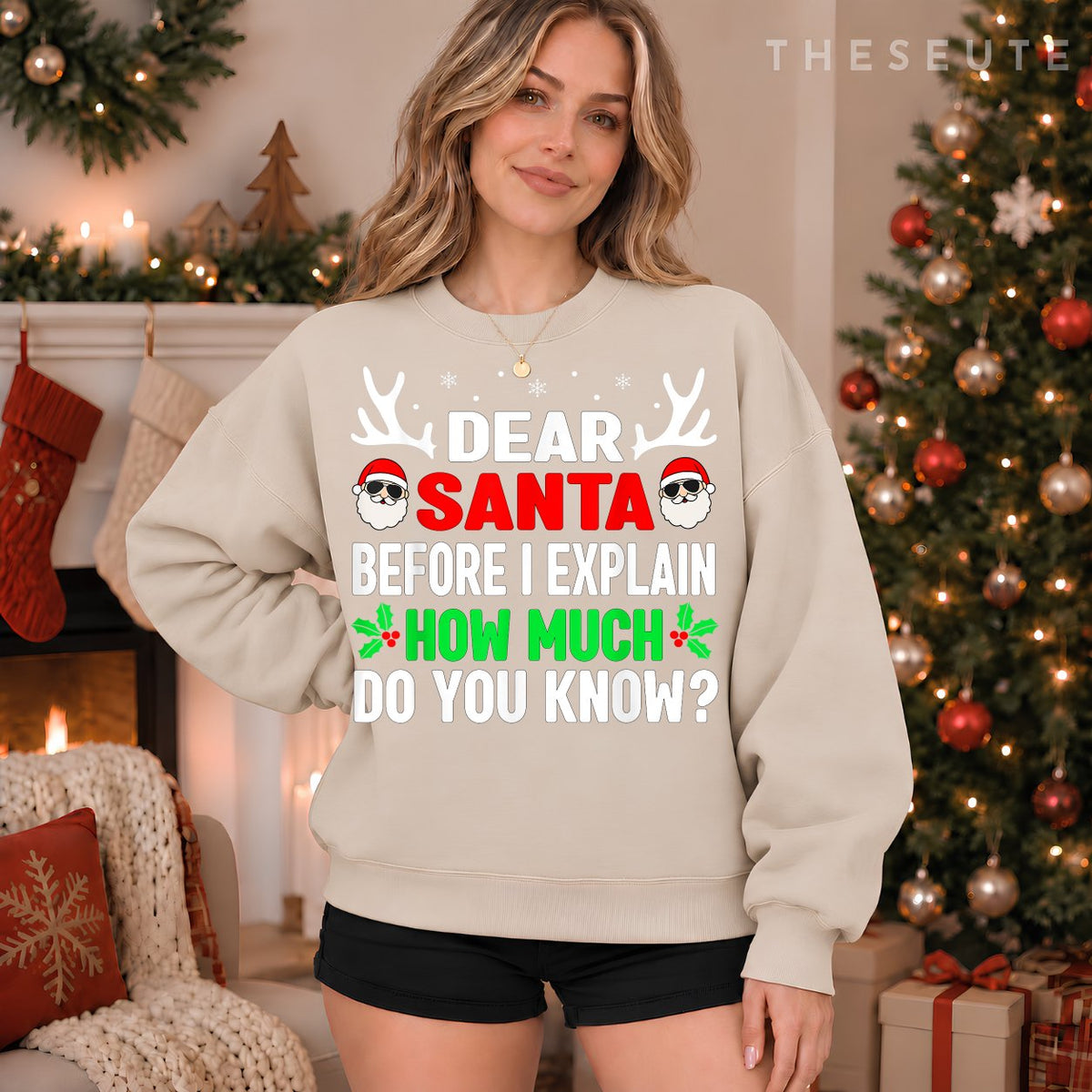 Funny Christmas Shirts Kids Adults Dear Santa I Can Explain Sweatshirt