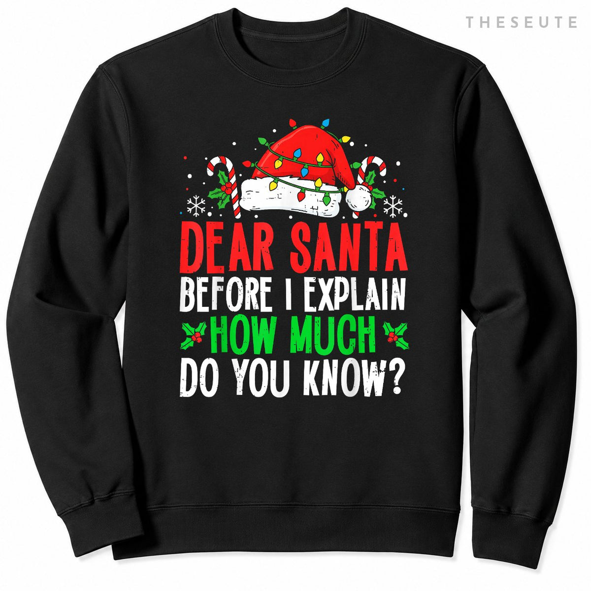 Funny Christmas Kids Adults Dear Santa I Can Explain Sweatshirt