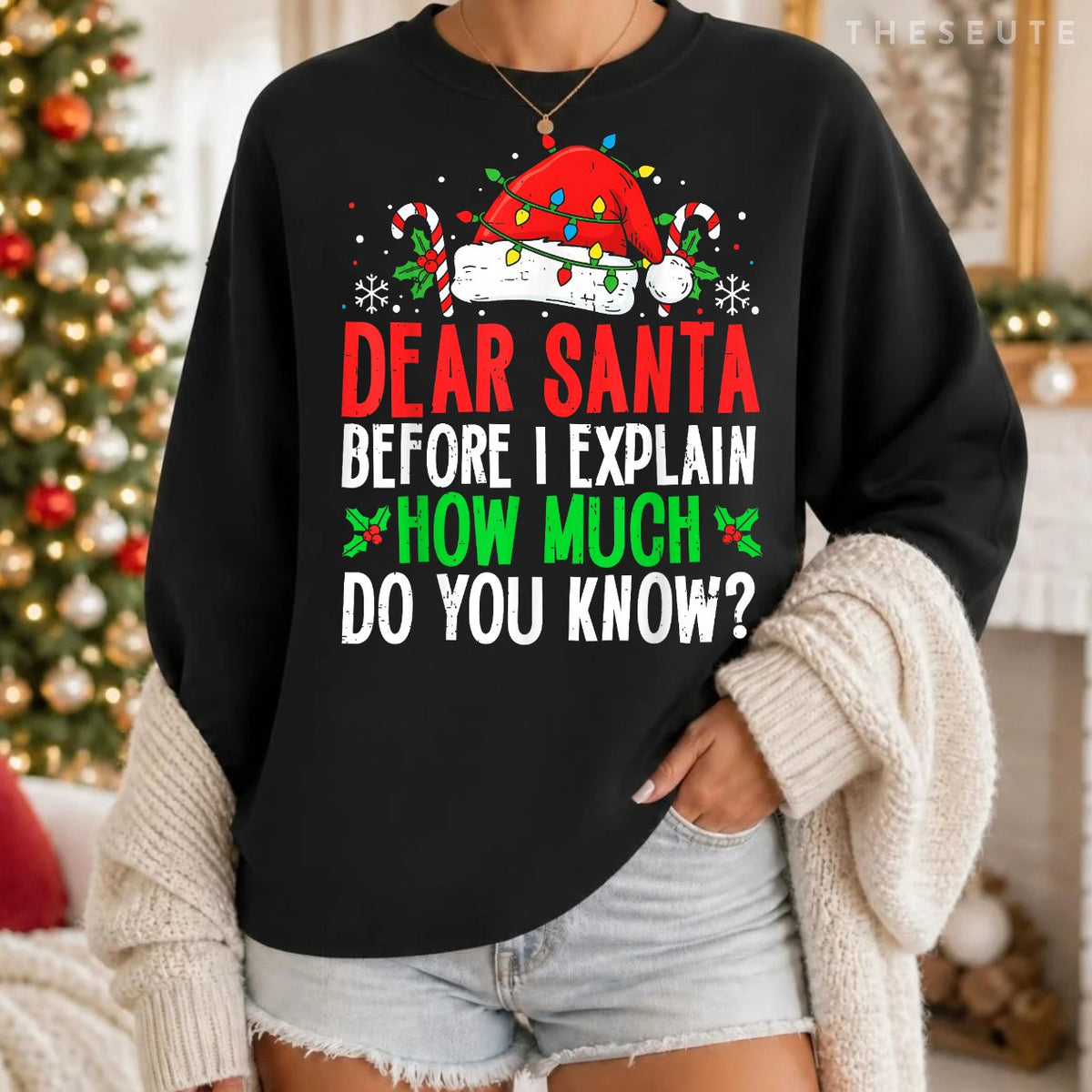 Funny Christmas Kids Adults Dear Santa I Can Explain Sweatshirt
