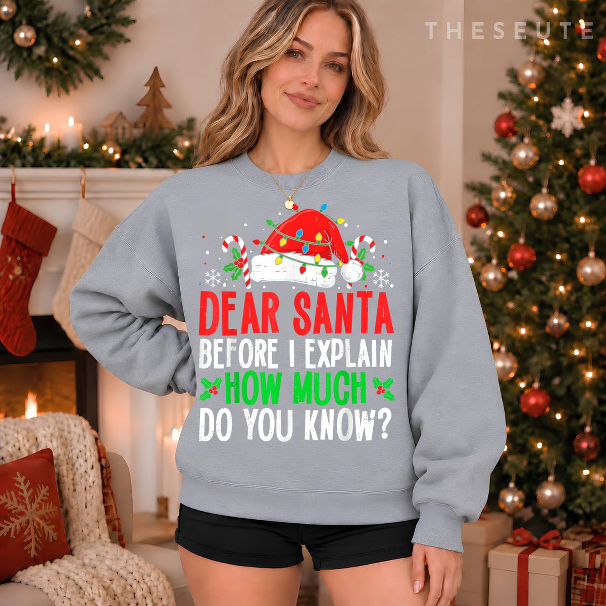 Funny Christmas Kids Adults Dear Santa I Can Explain Sweatshirt