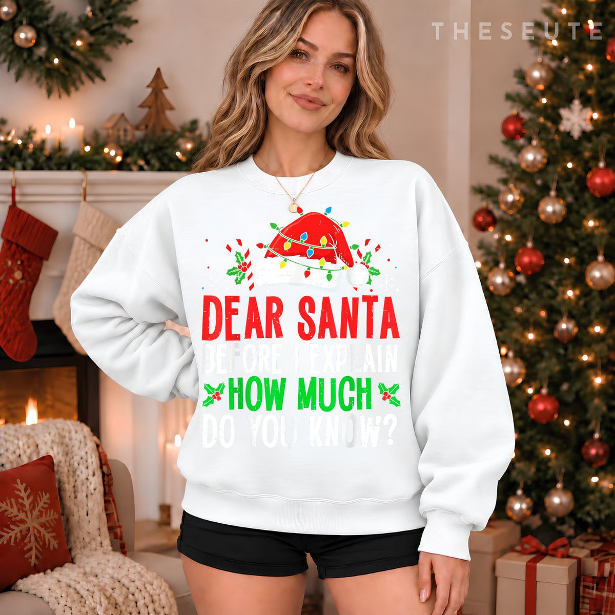 Funny Christmas Kids Adults Dear Santa I Can Explain Sweatshirt