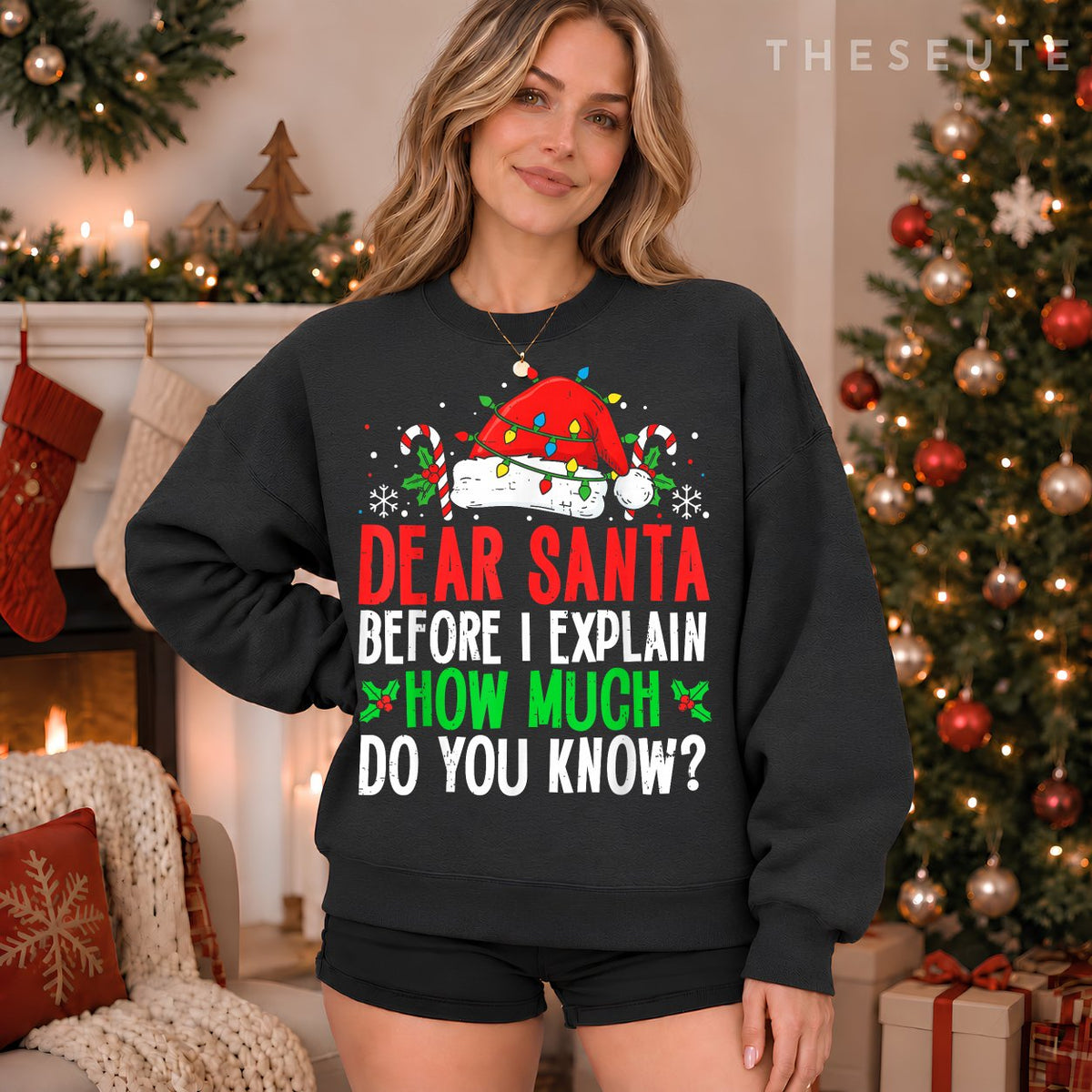 Funny Christmas Kids Adults Dear Santa I Can Explain Sweatshirt