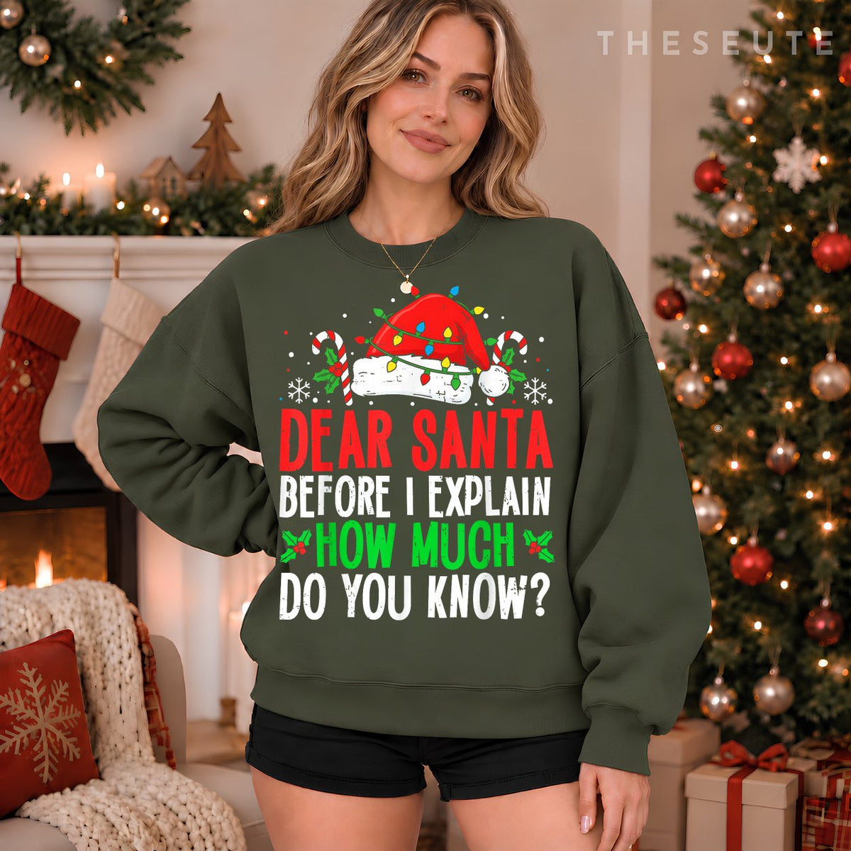 Funny Christmas Kids Adults Dear Santa I Can Explain Sweatshirt