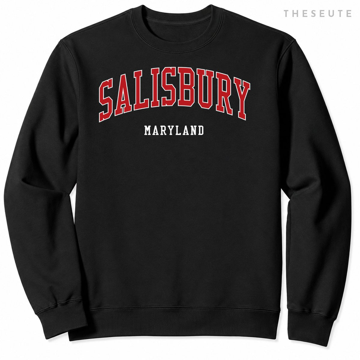 Salisbury Maryland College University Style Sweatshirt