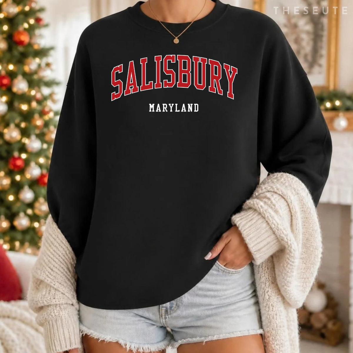 Salisbury Maryland College University Style Sweatshirt