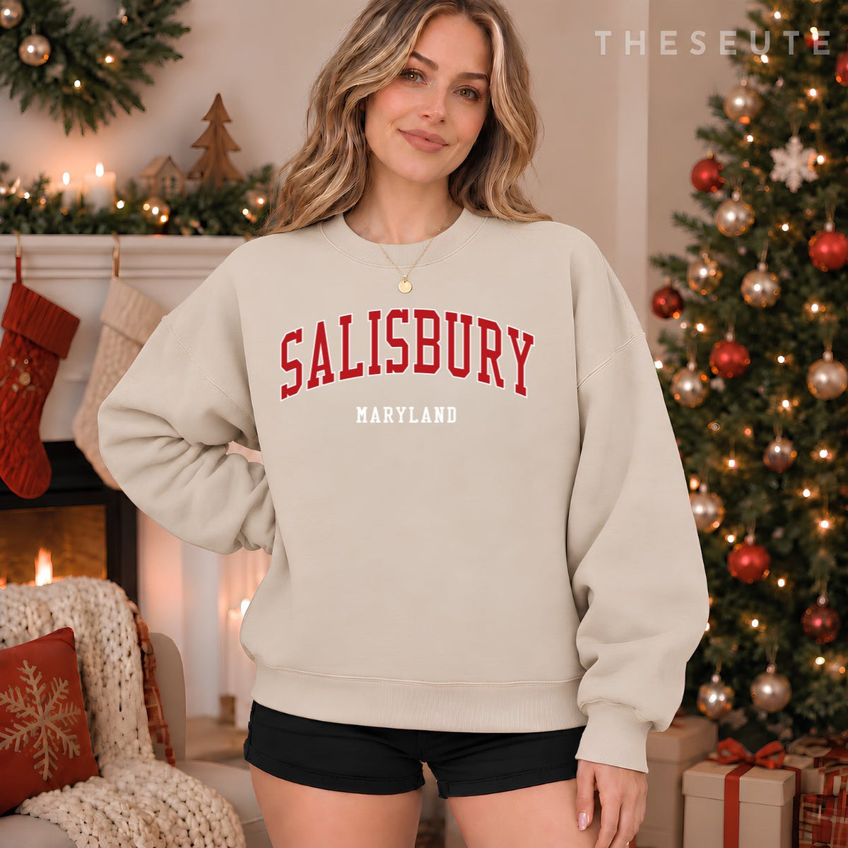 Salisbury Maryland College University Style Sweatshirt
