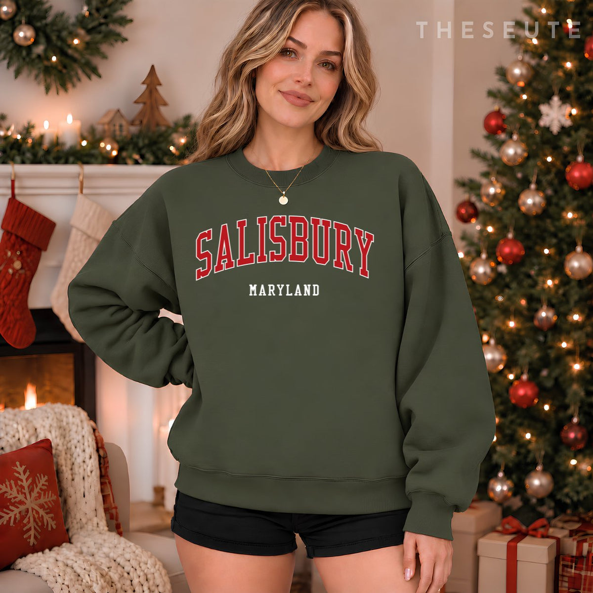Salisbury Maryland College University Style Sweatshirt