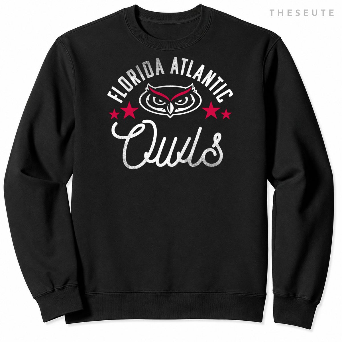 Florida Atlantic University FAU Owls Logo Sweatshirt