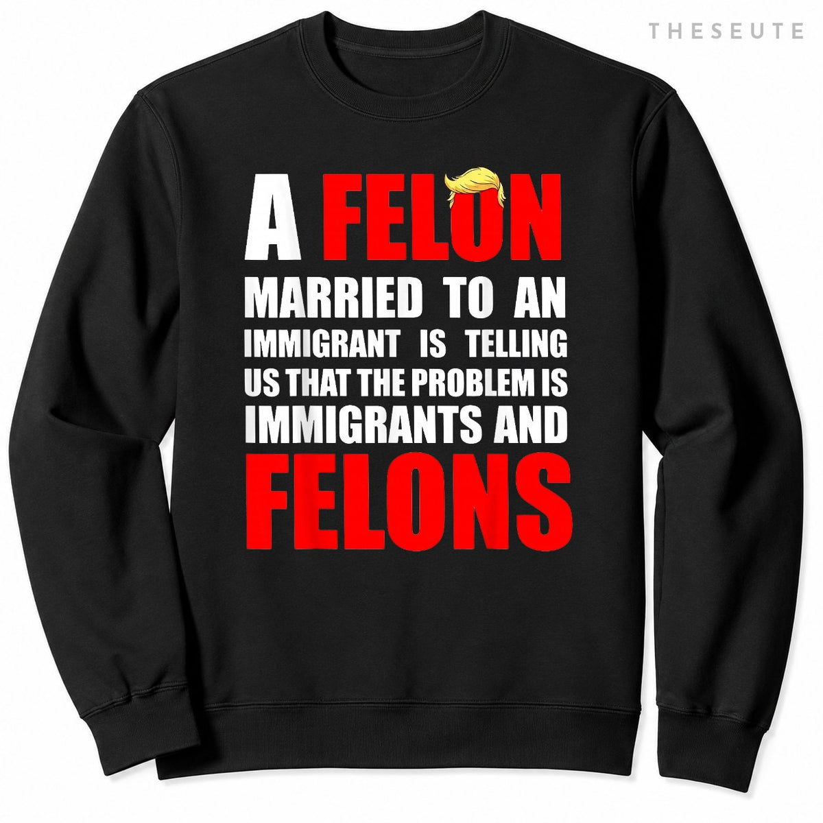 A Felon Married to an Immigrant is Telling Us that Problem Sweatshirt